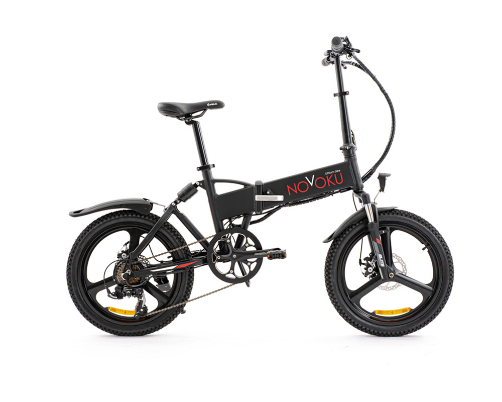Lee8320 Folding Electric Bike