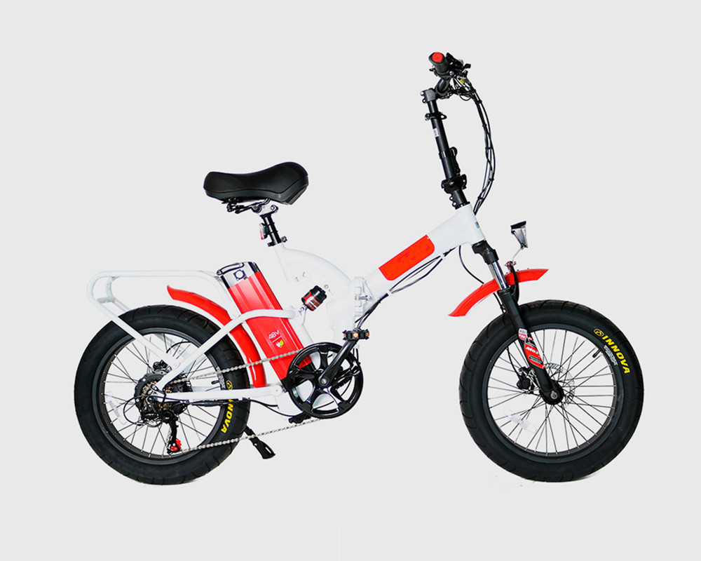 Lee9720 Electric Folding Bike Fat Tire